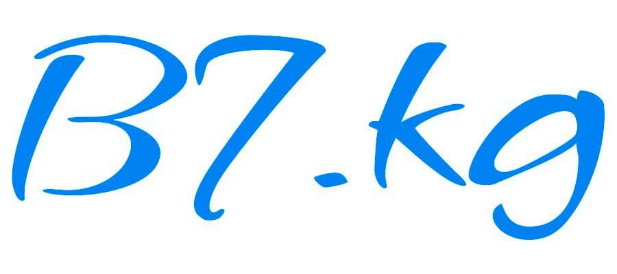 b7 logo